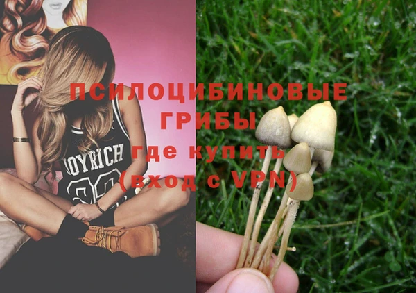 ECSTASY Баксан