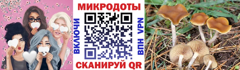 Галлюциногенные грибы Cubensis mega вход Усолье-Сибирское